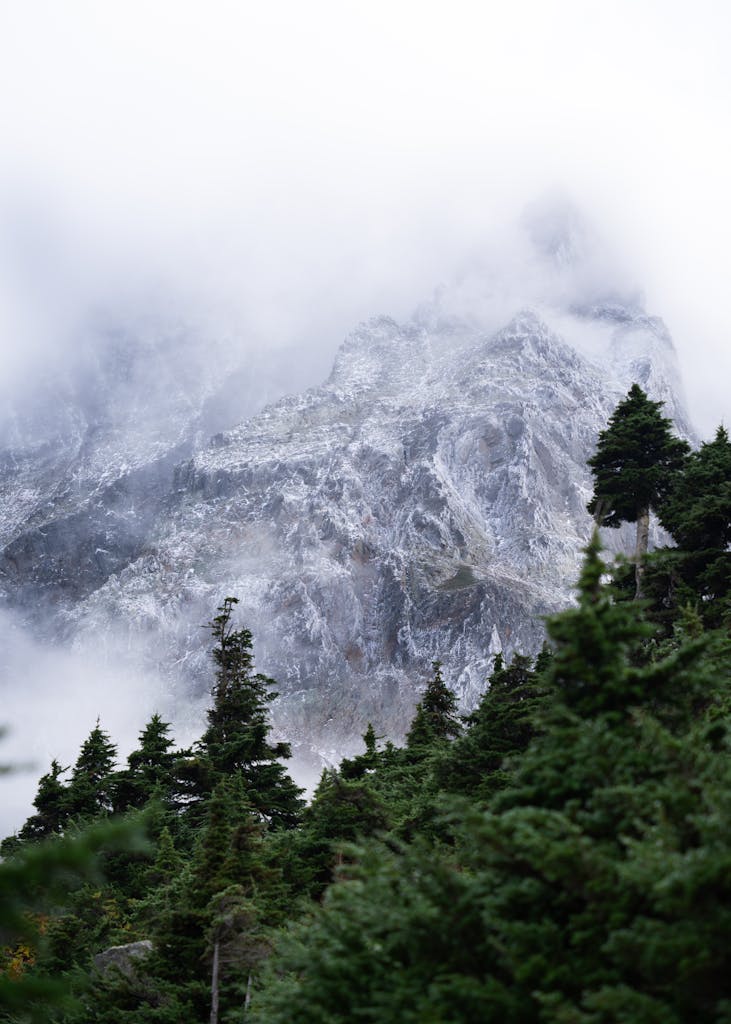 A serene misty mountain landscape in Washington's wilderness, showcasing nature's beauty.
